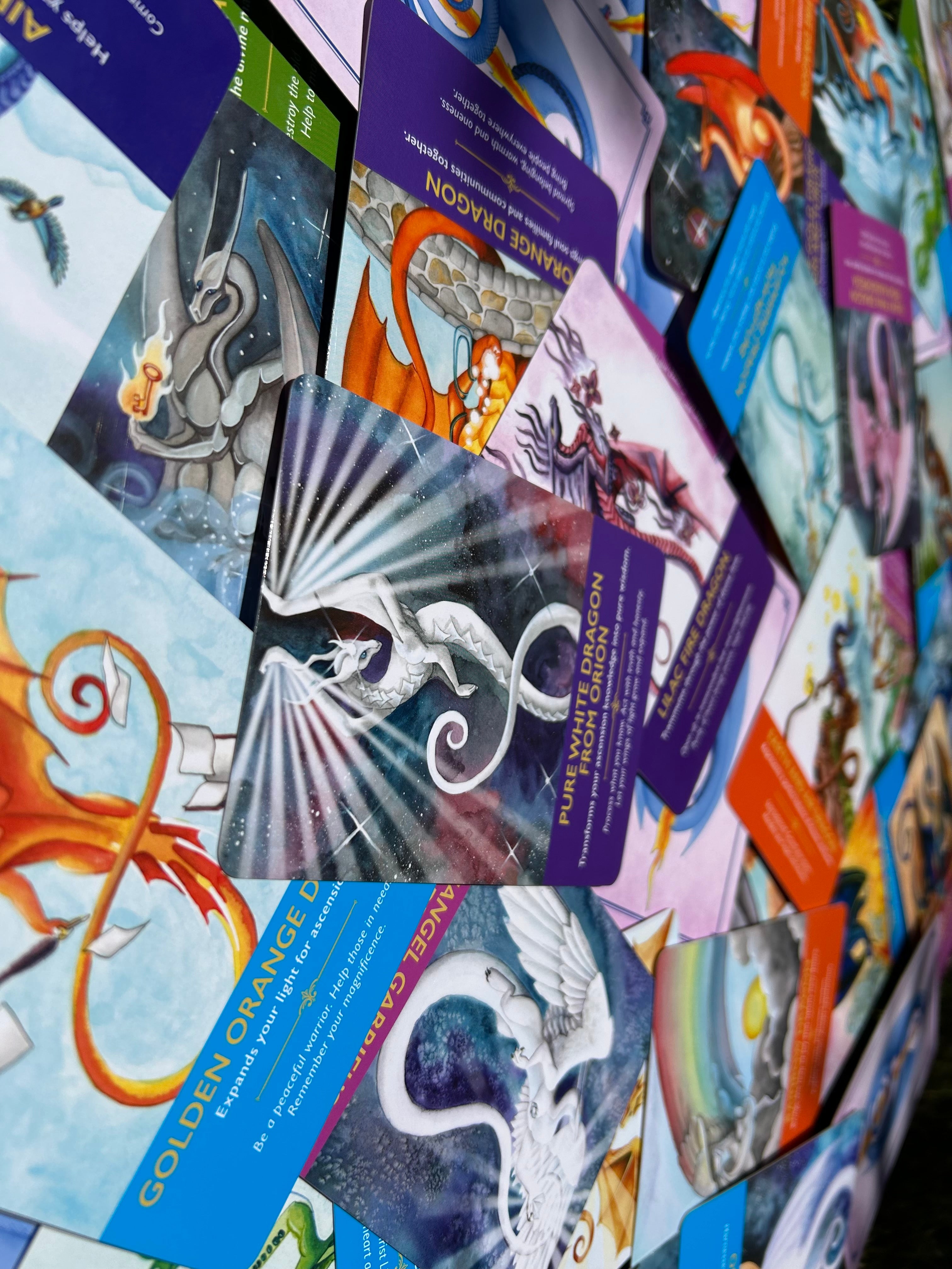 Dragon Connection Reading