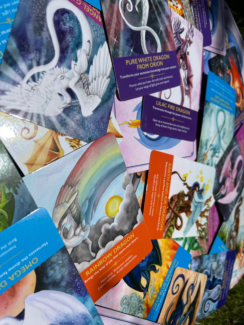 Dragon Connection Reading