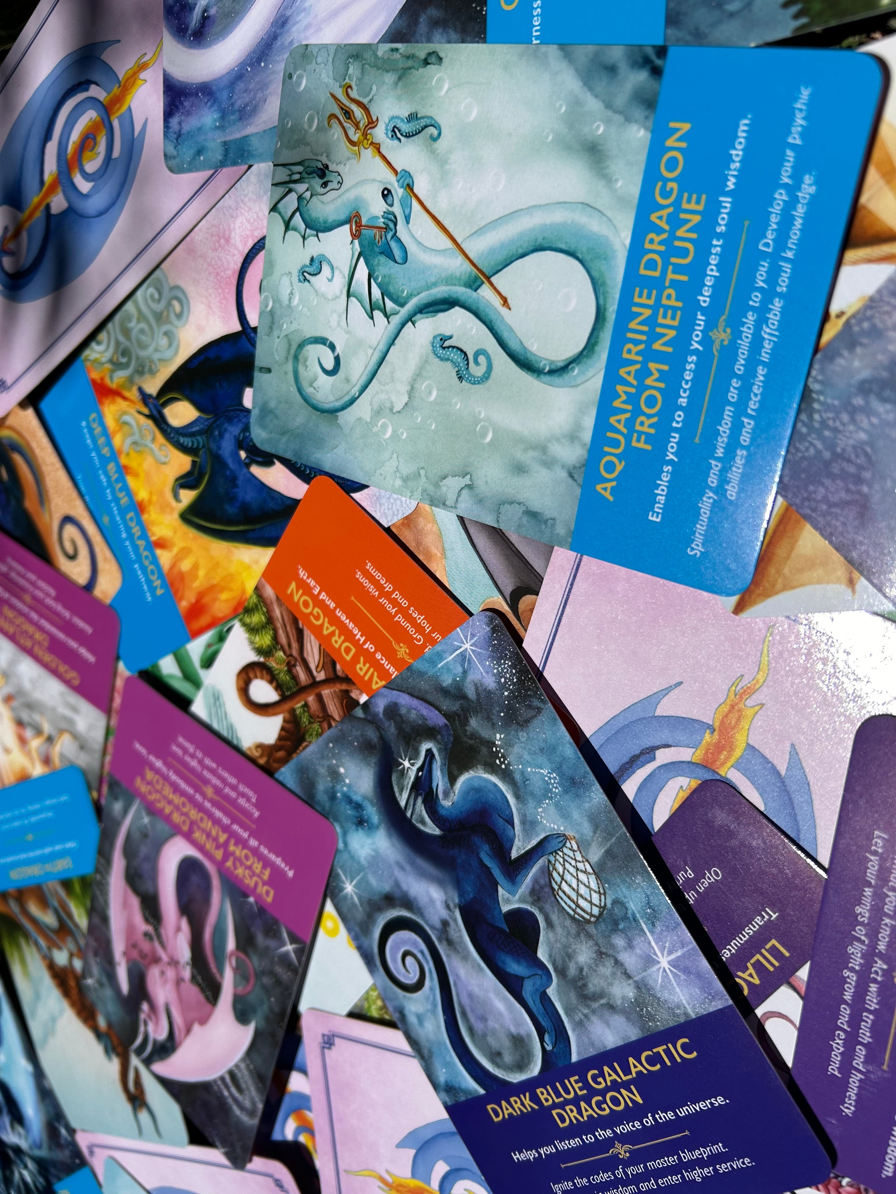 Dragon Connection Reading